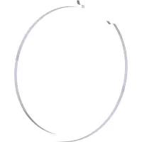 04.0022 Snap Ring, Ext Ballantine