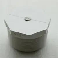 Plug, 2-1/2 NPT M, White PVC Plug, 2-1/2 NPT M, White PVC