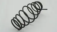 Spring, Coring Tine Spring, Coring Tine
