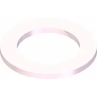 05.0197 Washer, Nylon .812 ID x 1.25 OD x .080