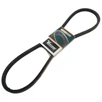 Belt, B49R Belt, B49R