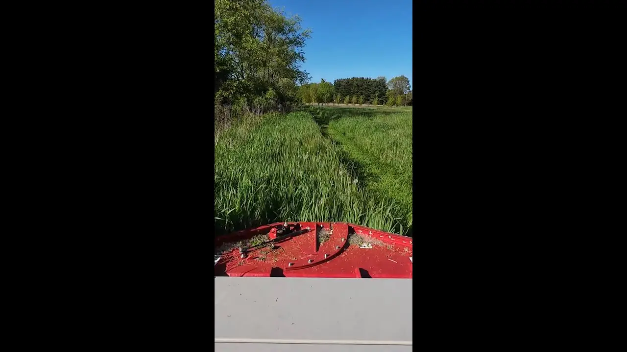 Satisfying Brush Cutter Timelapse