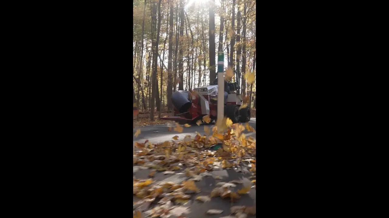 Total Leaf Domination 