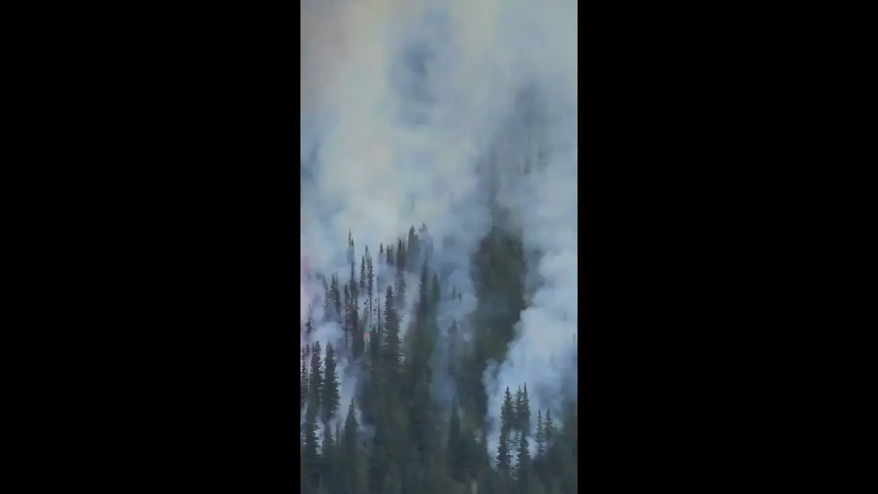Wildfire Preparation With Ventrac