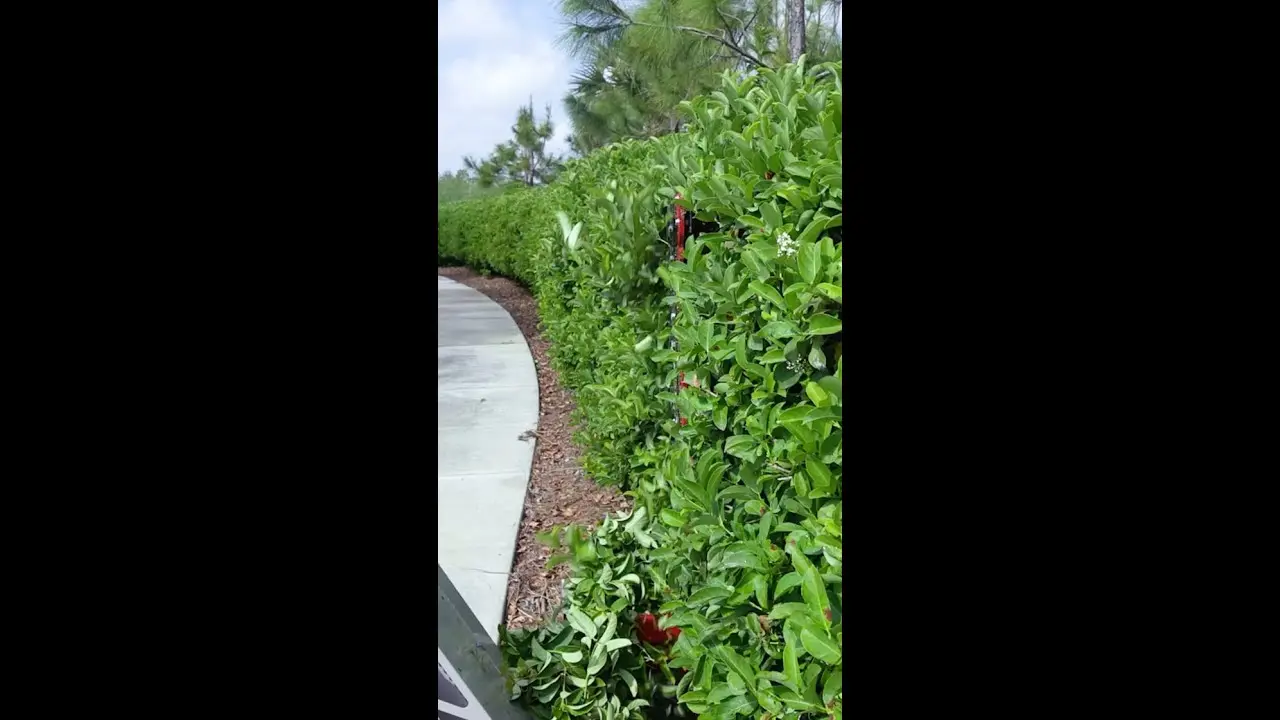 Mow It All With The Ventrac Boom Mower