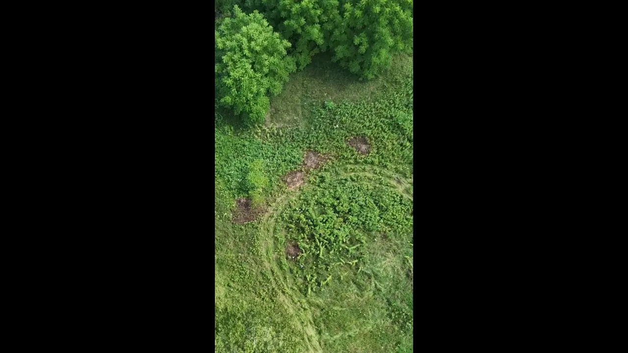 Brush Cutter vs Thick Brush  Ventrac in Action