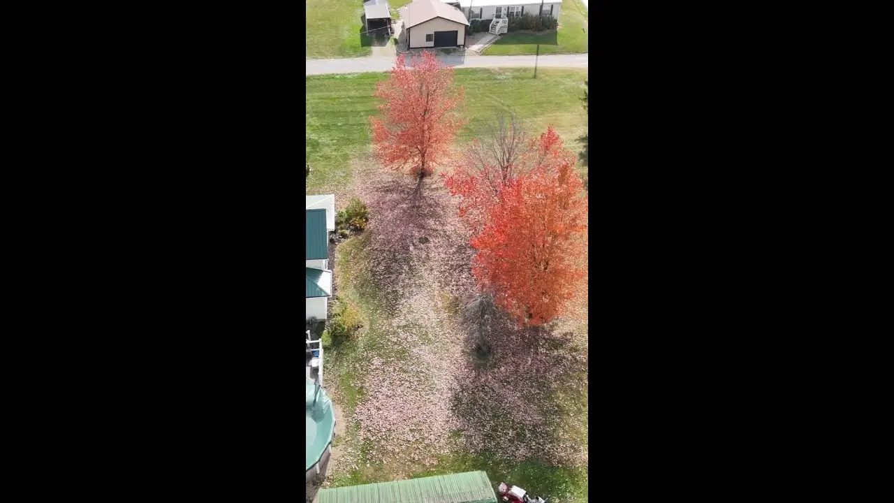 Satisfying Leaf Timelapse With Ventrac