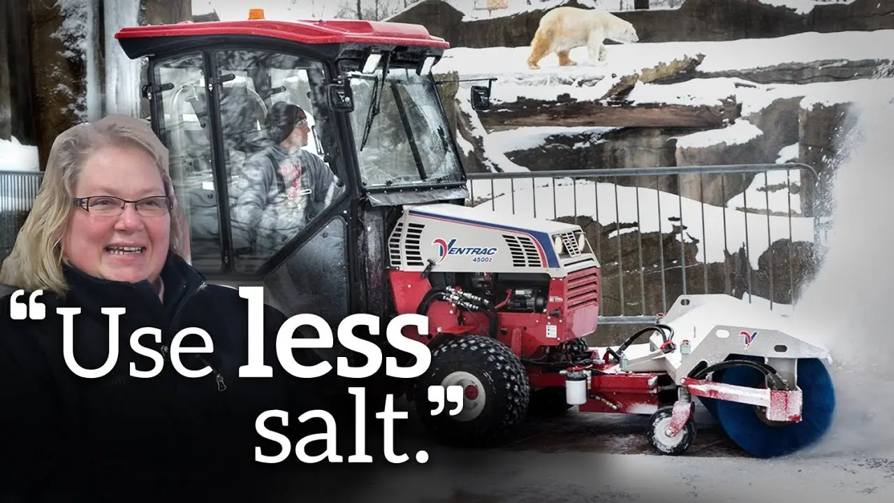 Removing Snow At The Zoo
