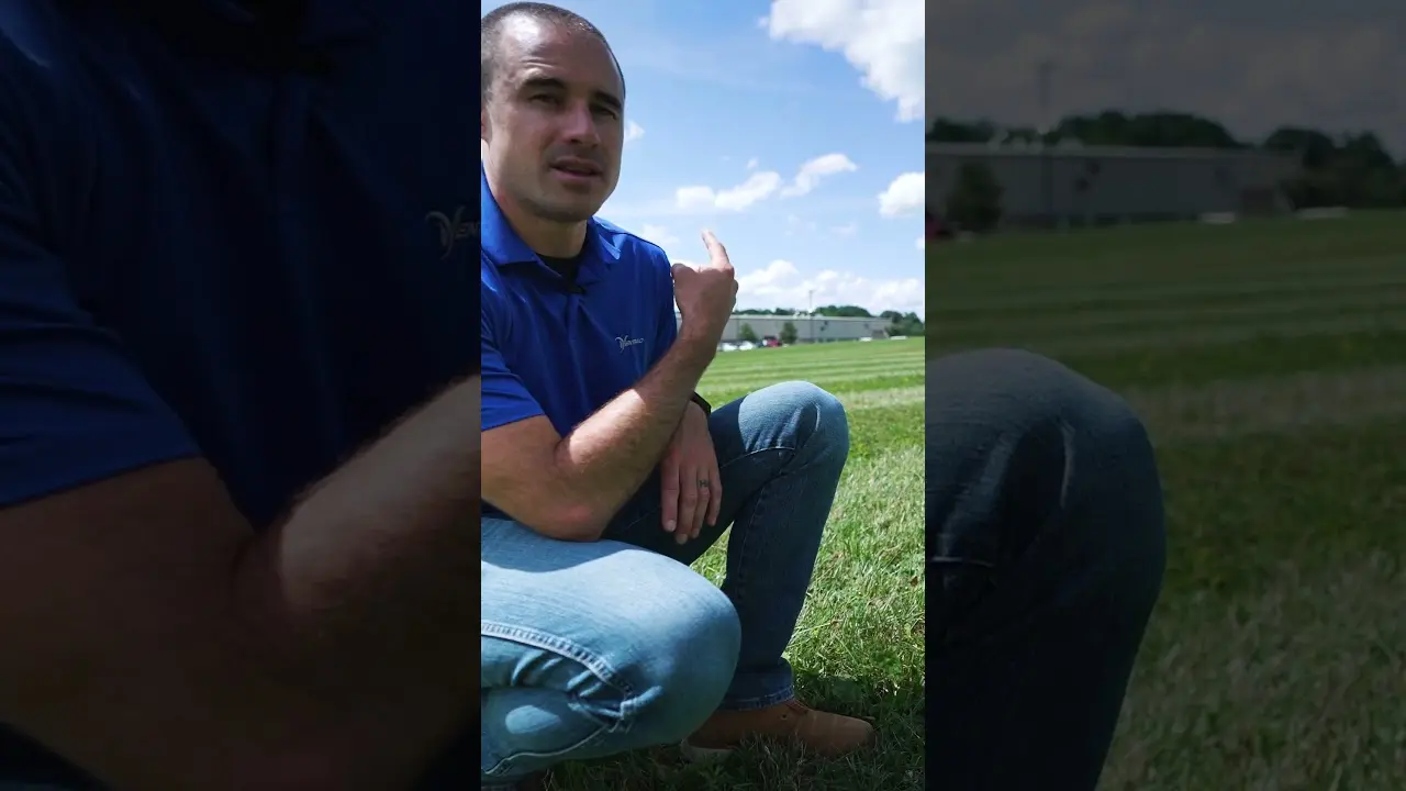 Flail Experiment  What is the Best Mowing Interval