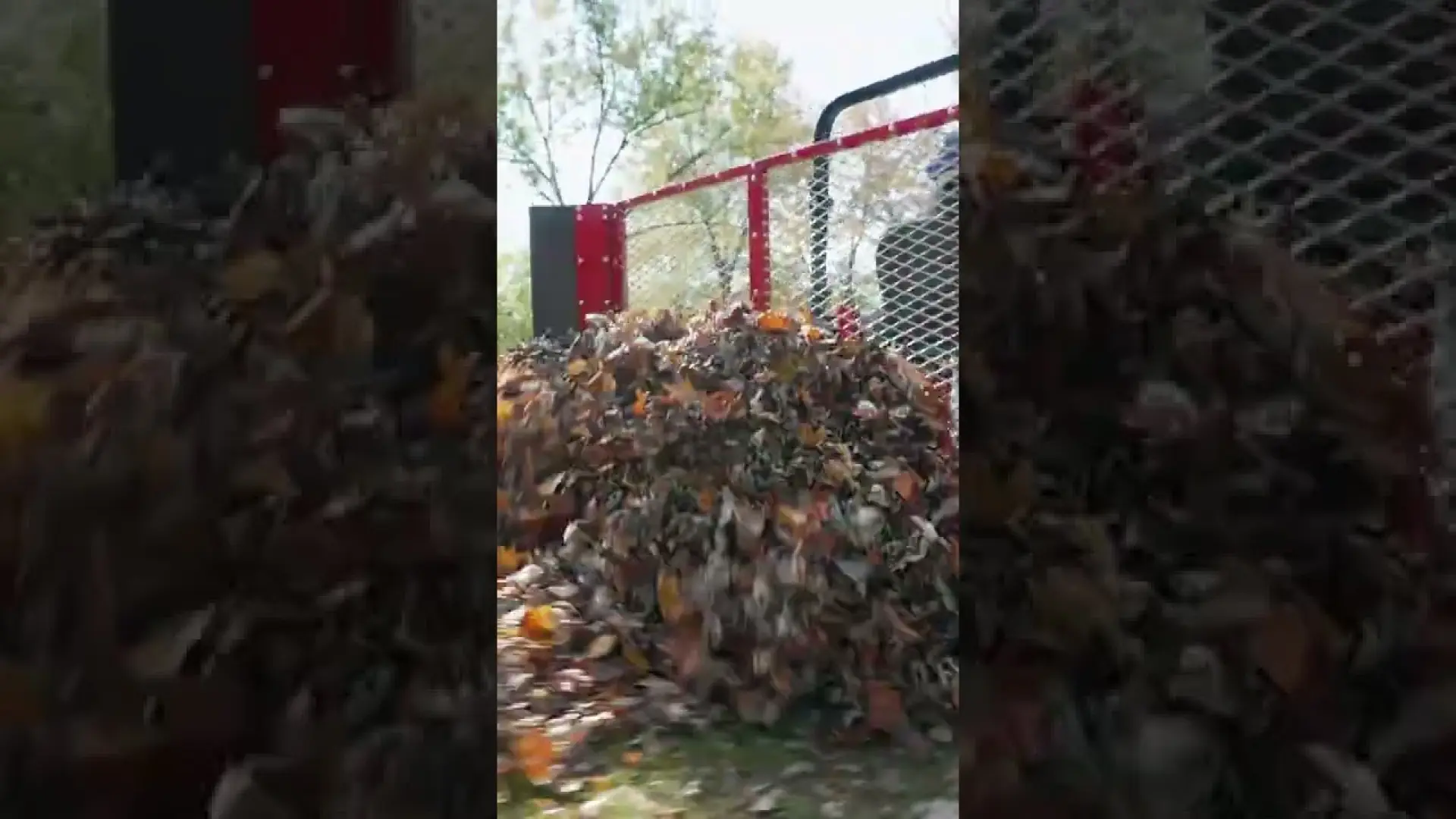How To Move Giant Leaf Piles