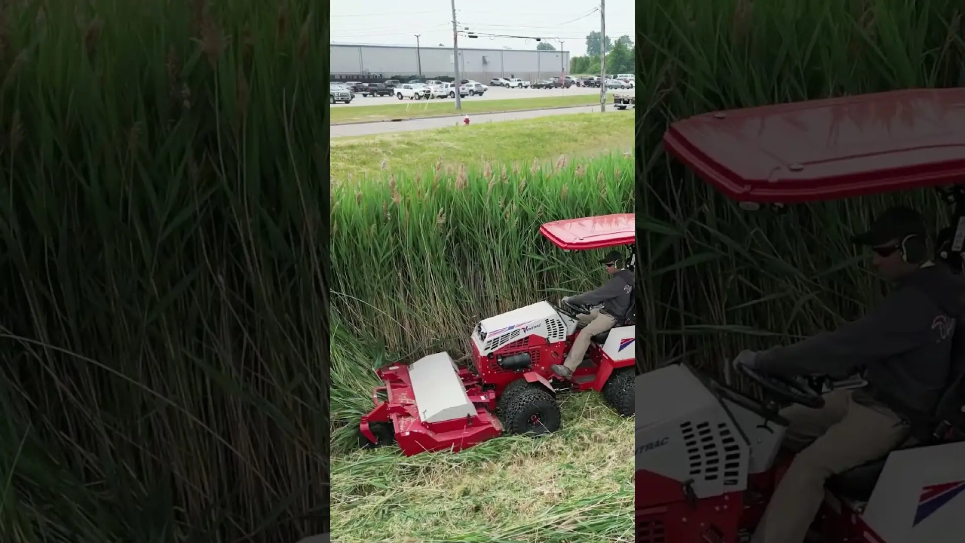 Tough Cut Mows Down Extremely Tall Grass