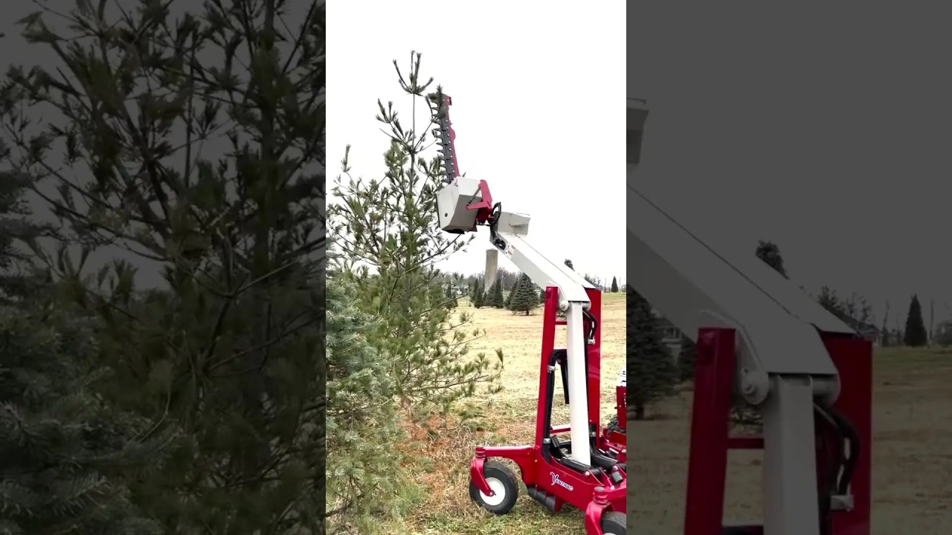 Trimming A Christmas Tree With A Ventrac