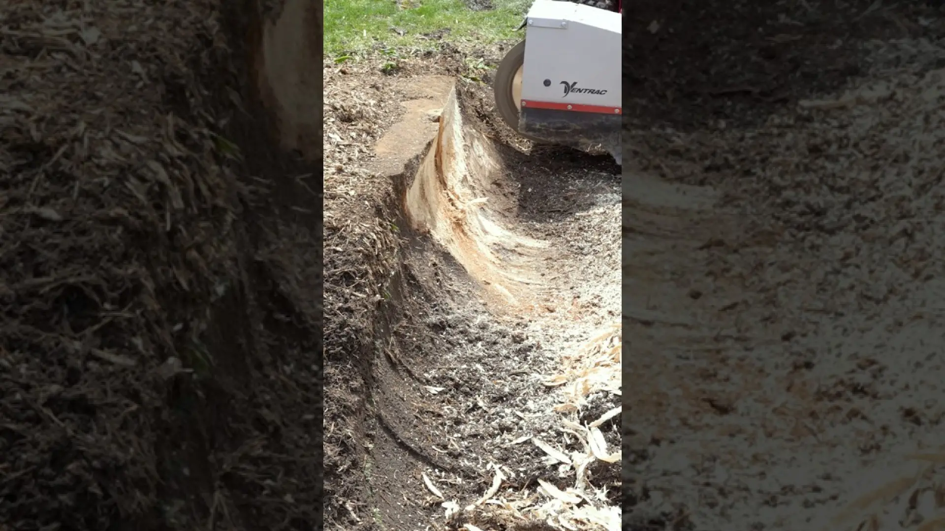 Big stump No Problem The KC220 Stump Grinder has you covered