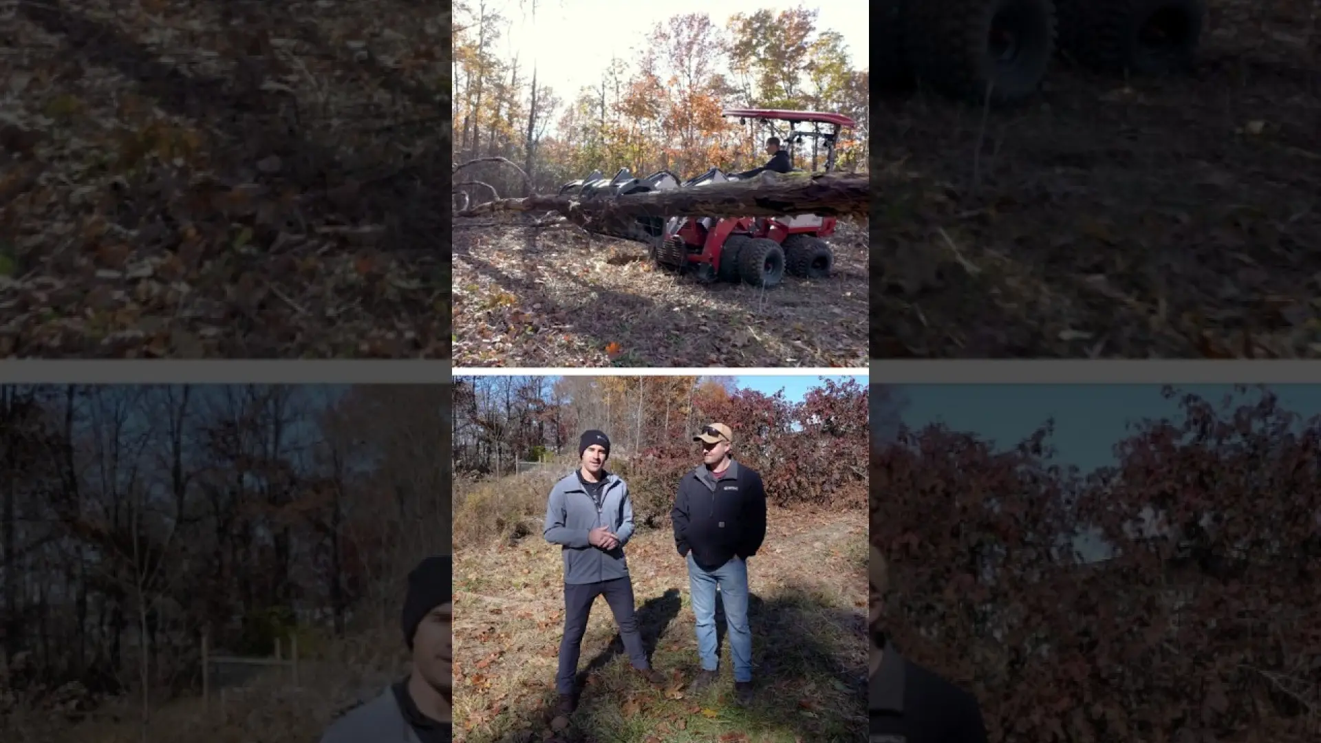 This property was a complete messheres how we tackled it