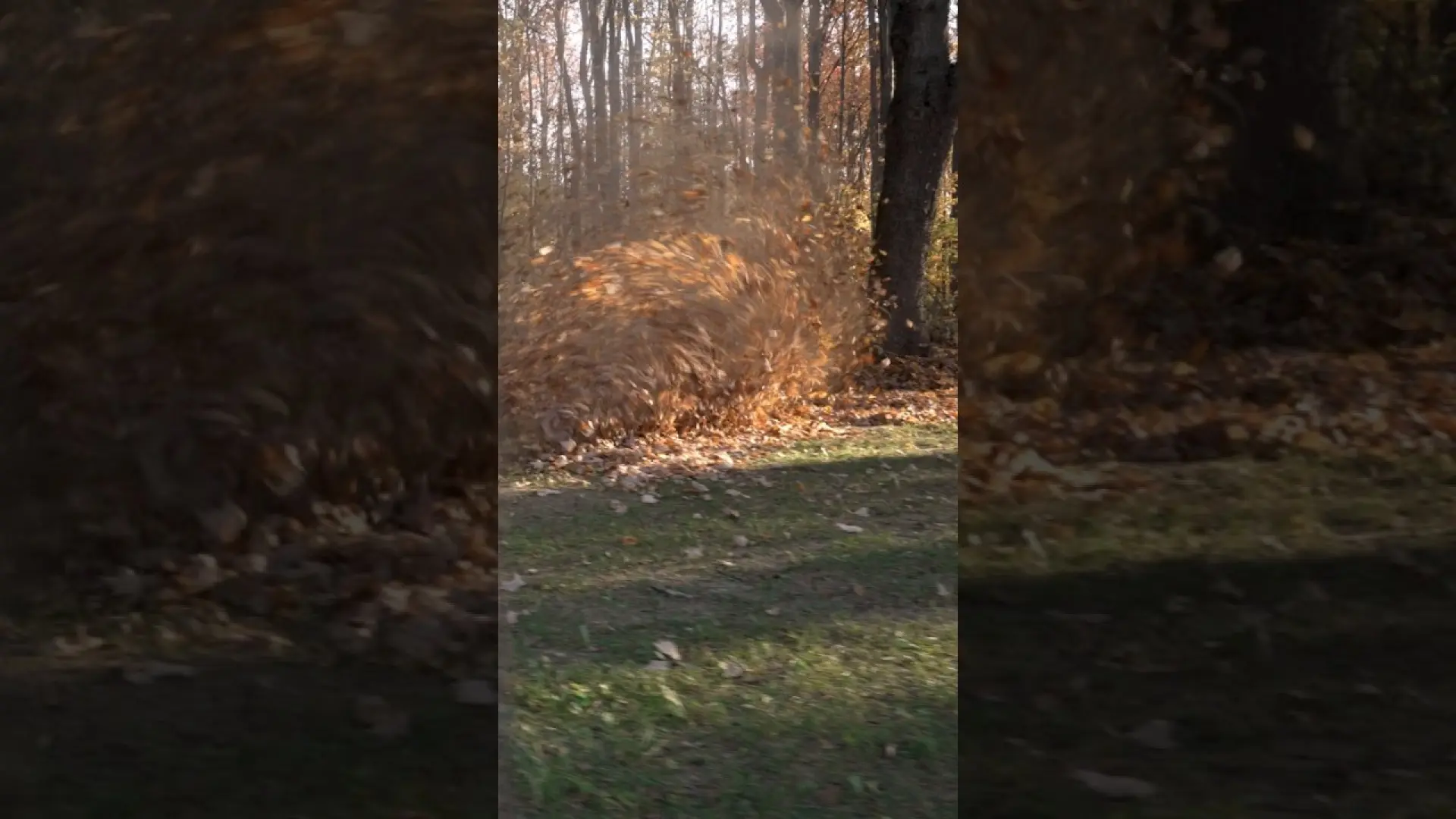 Ventrac Makes Fall Cleanup Easy