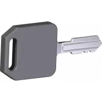 13.0080 Key, Ignition Delta