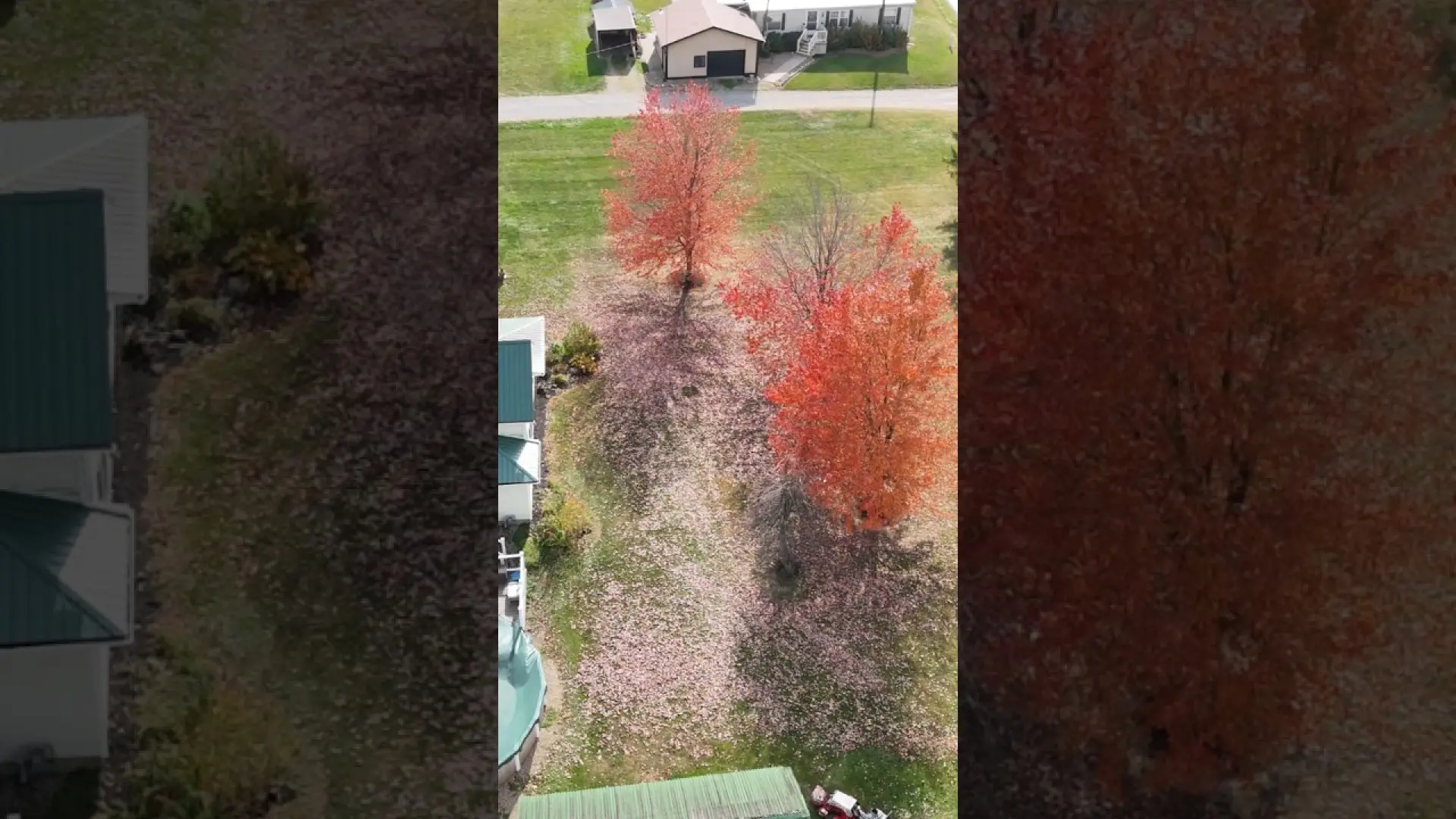 Leaf Season Is Here