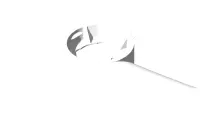 13.0281 Fan, Cooling 310MM Suction