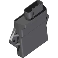 Engine Control Unit (Ecu)