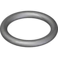 23.0174-5 O-Ring, Spool