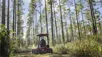 HQ682 Tough Cut Cut through thick forest thickets to maintain trails and access paths without disturbing surrounding trees.