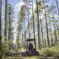 HQ682 Tough Cut Cut through thick forest thickets to maintain trails and access paths without disturbing surrounding trees.