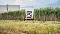 HQ682 Tough Cut Designed to handle tall reeds and aquatic vegetation, the Tough Cut clears waterways and wetland edges efficiently without leaving debris behind.