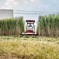 HQ682 Tough Cut Designed to handle tall reeds and aquatic vegetation, the Tough Cut clears waterways and wetland edges efficiently without leaving debris behind.