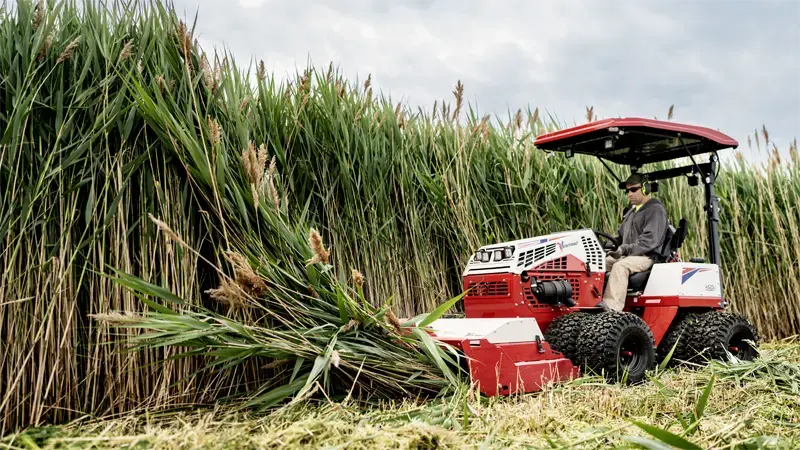 Clear dense brush and tall weeds effortlessly, making it the ideal choice for land reclamation projects