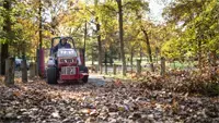Easily clear leaves from sidewalks and curbs, improving curb appeal and accessibility.