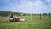 Finish Mower Maintain vineyard aesthetics with the Ventrac Finish Mower, designed to navigate narrow rows and uneven terrain for precise, even cuts.
