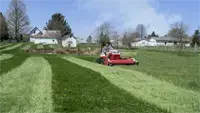 MWMY Flail Mower Vibrant stripes in long turf lanes appear cleaner when the Flail Mower disperses clippings evenly thanks to its design.