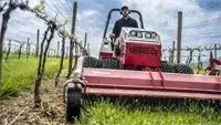 MWMY Flail Mower The compact 56″ Flail Mower is perfect for mowing close to grapevines—cutting undergrowth cleanly while preserving rows and trellis systems.