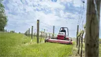 MWMY Flail Mower Vineyard rows stay visible and tidy when the Flail Mower works between vines, cutting undergrowth without harming trellis lines.