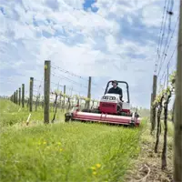 MWMY Flail Mower Vineyard rows stay visible and tidy when the Flail Mower works between vines, cutting undergrowth without harming trellis lines.