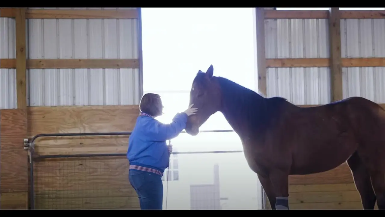 Horse Therapy Farm Improving Families in Community
