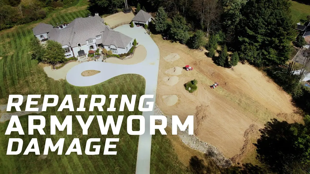 Ventrac Vs Armyworms  GCI Turf Lawn Restoration