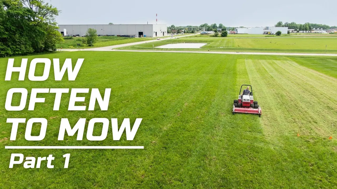 8 Week Flail Mowing Experiment