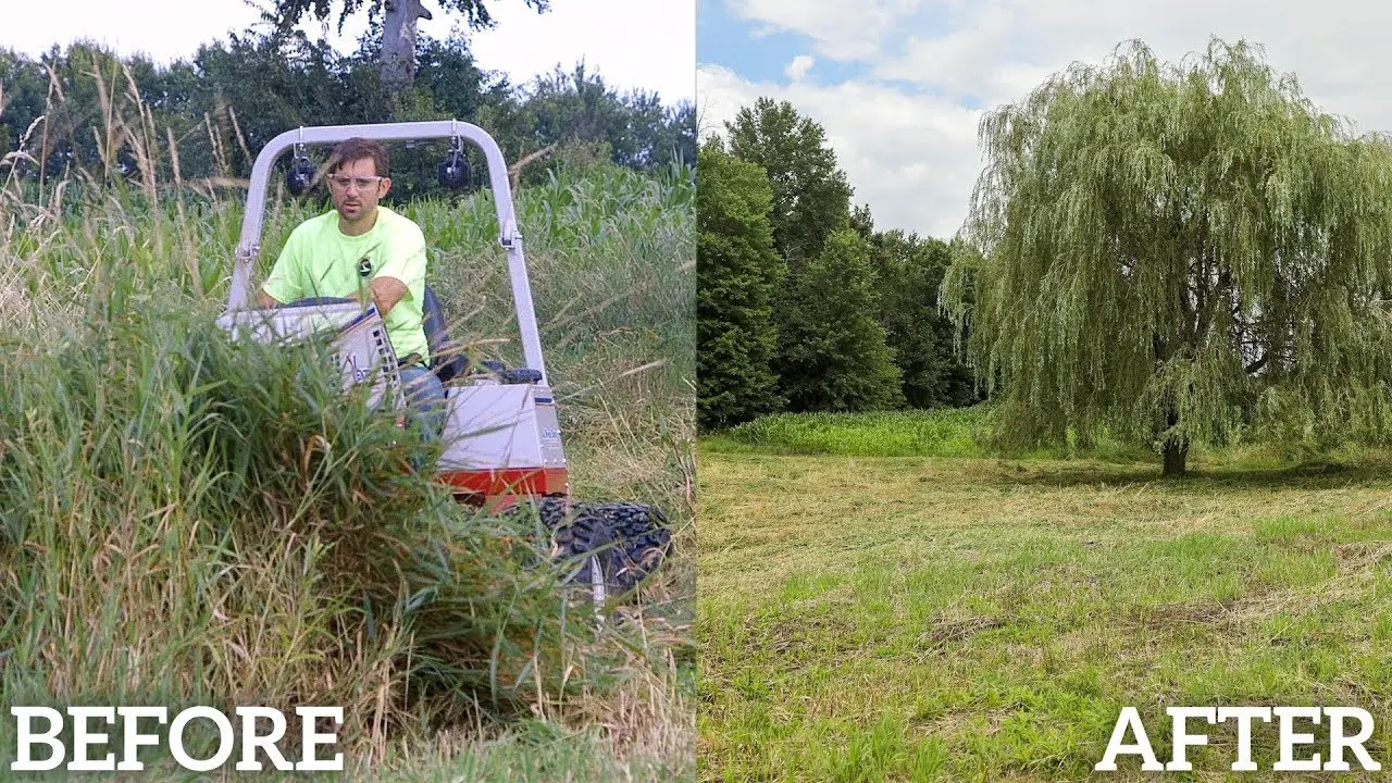 Mowing Massively Overgrown Flooded Field  Before  After Time Lapse