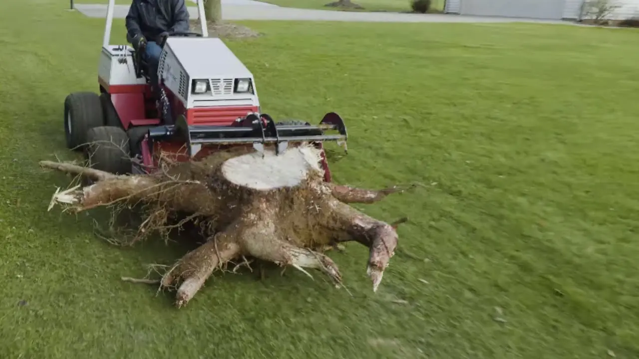 Tractor Grapple Bucket  Tree Removal on Soft Ground