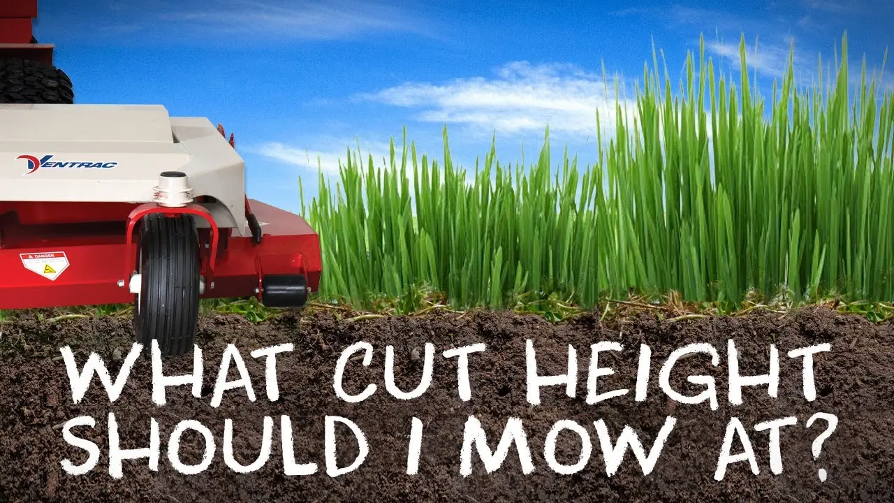 What is the Best Height to Cut Your Grass Featuring Pete Denny of GCI Turf Services  Ventrac MMM