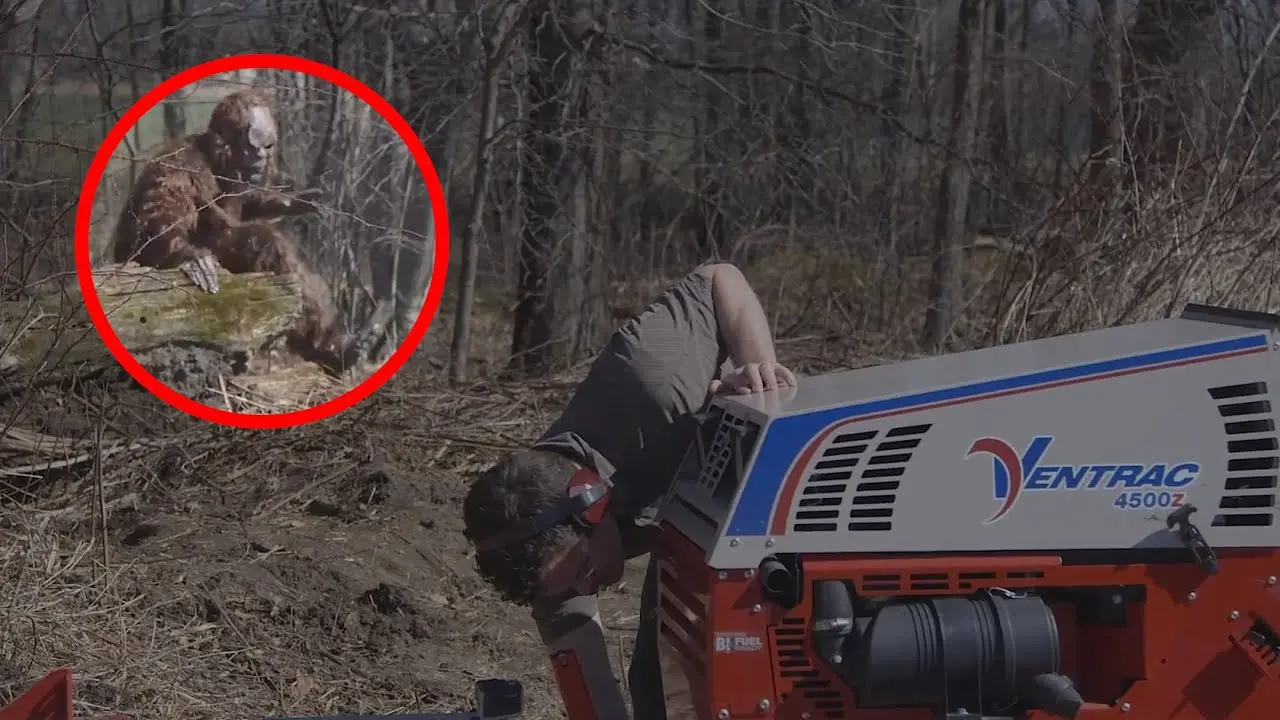 Bigfoot Big Fun