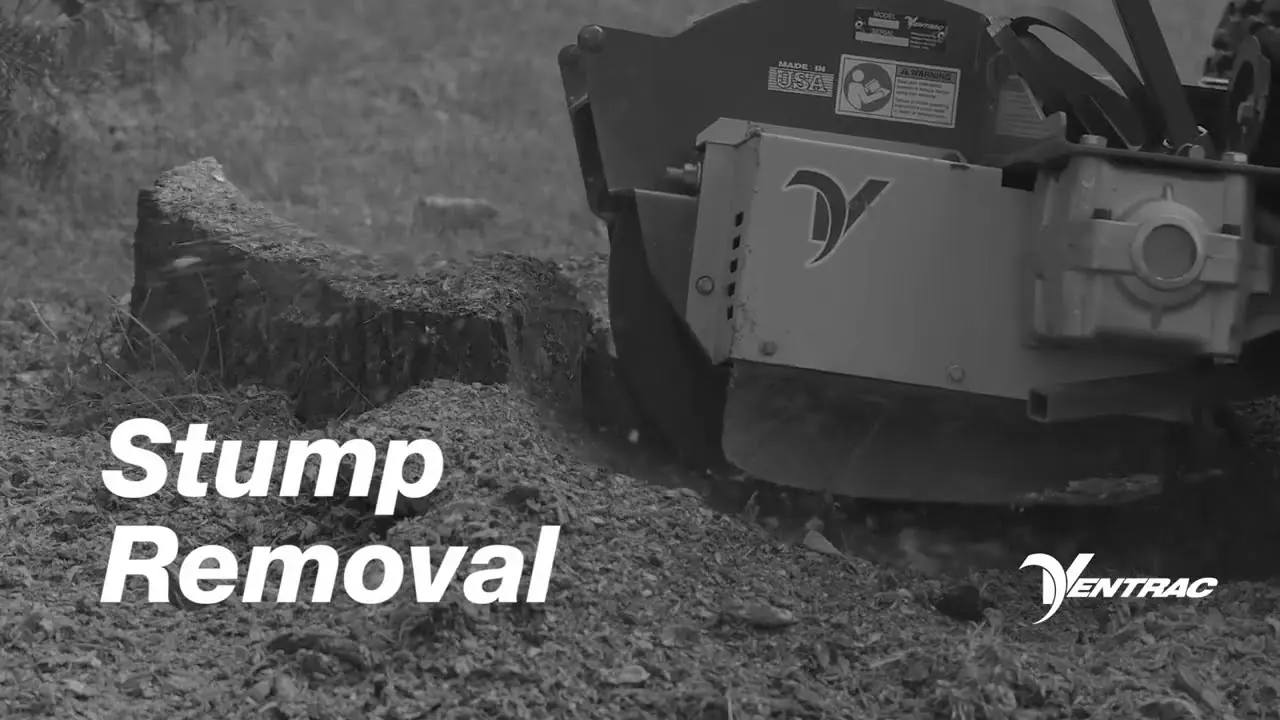 The Best Way to Remove Stumps Without Destroying the Lawn