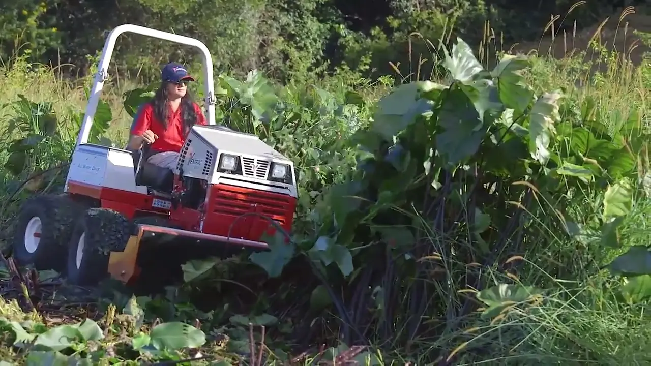 Macadamia Farmers Restore Neglected Farm with a Ventrac