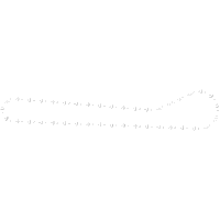 Chain, Roller #40 x 39-1/2" SS