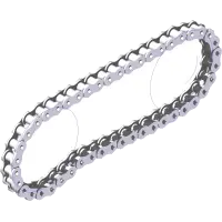81.0168 Chain, Roller #40 x 17-1/2"