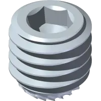 85.SS21 Set Screw, 3/8-16 x 3/8
