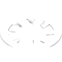 99.G0016 Washer, Star-Internal #10