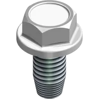 99.K0136 Bolt, 1/4-20 x 1/2 THD Form SS